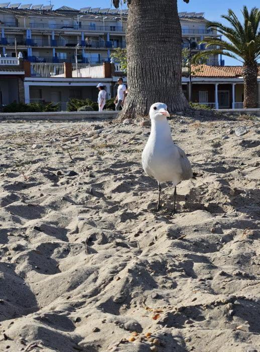 דירות צ'ילצ'ס Habitacion En Piso Compartido Cerca De Playa מראה חיצוני תמונה
